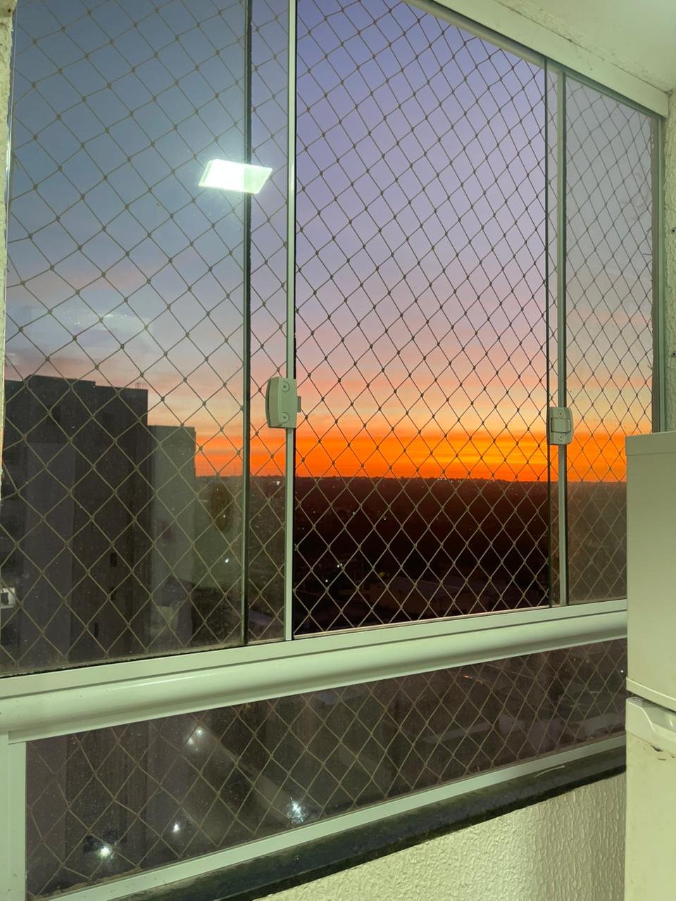 Imagem 12